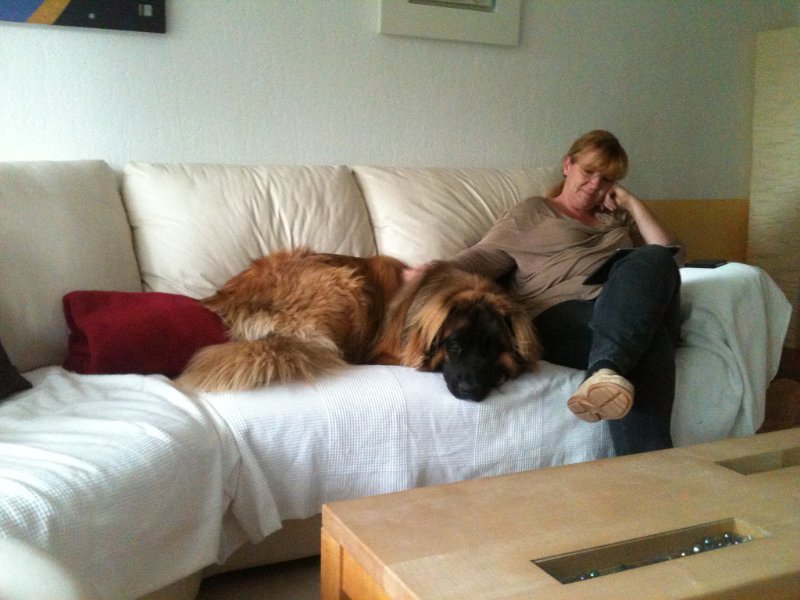Ghost_0058.JPG - Wie war das doch gleich? Bei Mama darf der Hund nicht auf die Couch! Konsequente Erziehung lohnt sich halt doch!