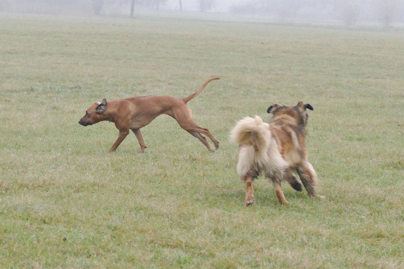 Ghost_0139.JPG - Na also, fast eingeholt, das Ding!