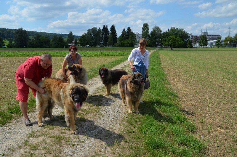 Grizzly0556.jpg - Grizzly-Gourian, Dispo, Arwen und Eowyn