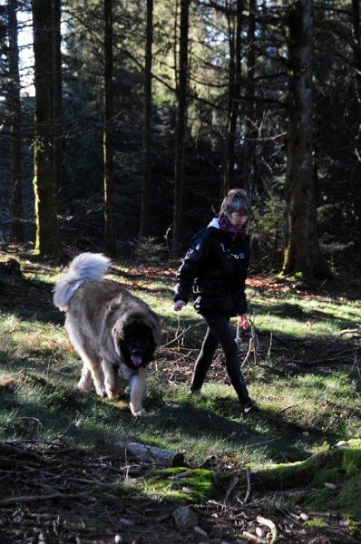 Grizzly0805.jpg - Grizzly-Gourian und Martine