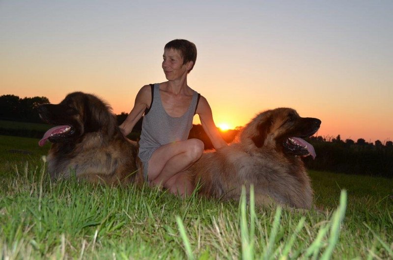 Grizzly1066.jpg - Grizzly-Gourian, Martine und Dispo