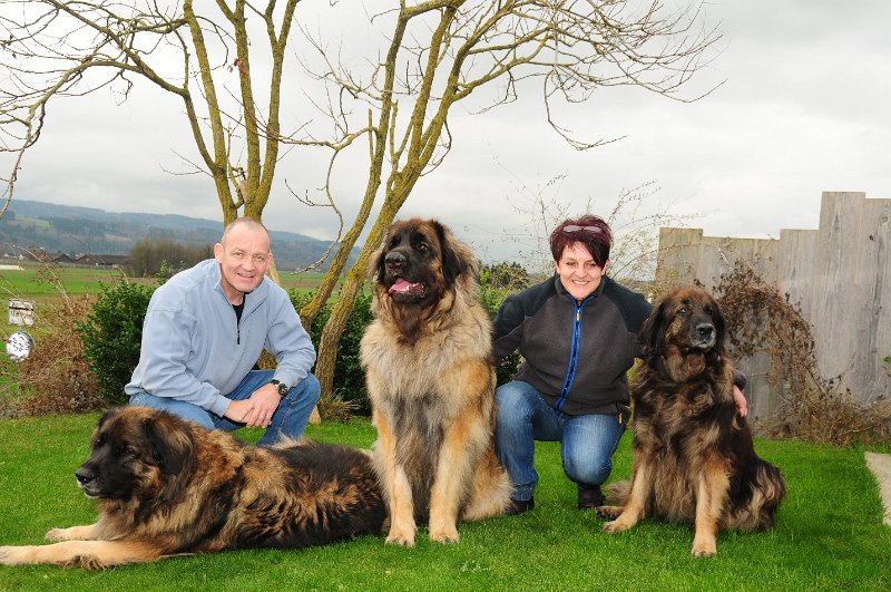 Grizzly1162.JPG - Grizzly-Gourian mit seiner Grossmutter Eowyn, Mutter Arwen, Jeannine und Mäge