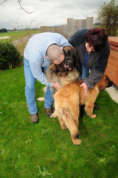 Grizzly1172.JPG - Grizzly-Gourian mit Ishani, Jeannine und Mäge