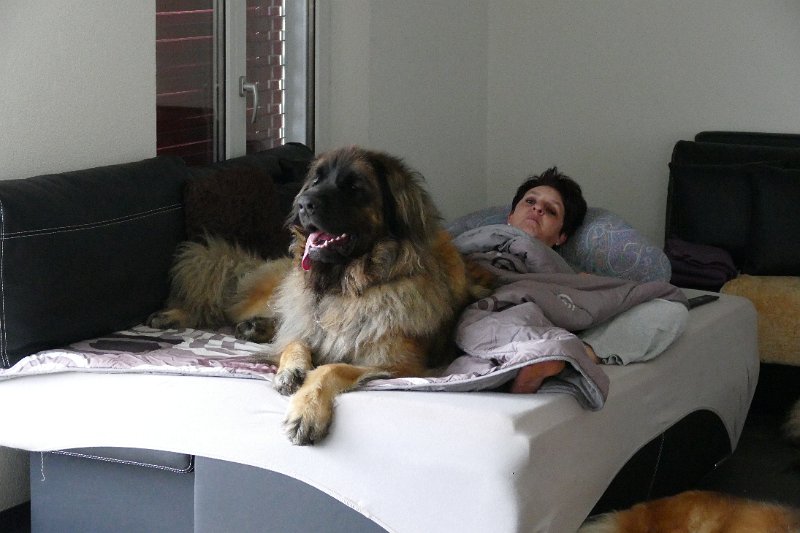 Grizzly1212.JPG - Grizzly-Gourian mit Jeannine
