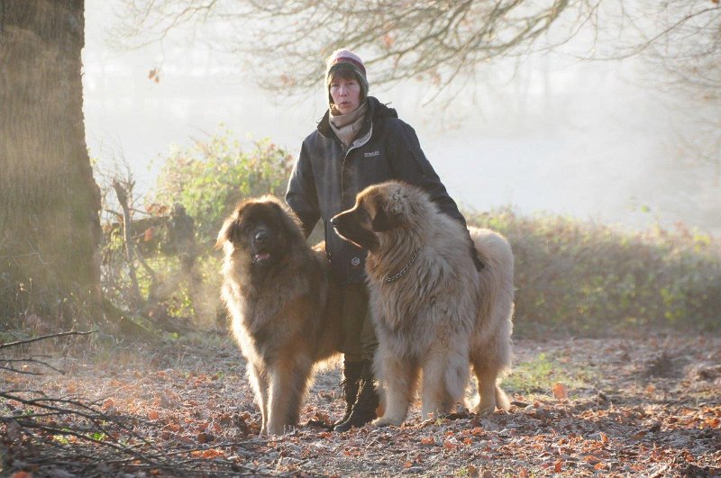 Grizzly1517.jpg - Grizzly-Gourian, Martine und Dispo
