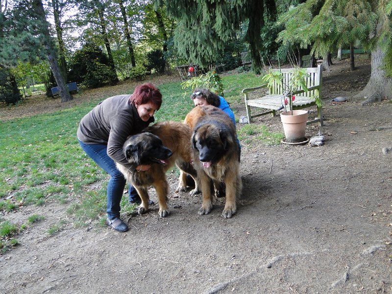 H_Wurf0075.JPG - Bellatrix und Lasse (Fairytroll's X-Mas Elf Zodiac)