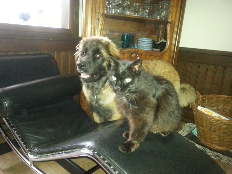Haley0025.jpg - Haley