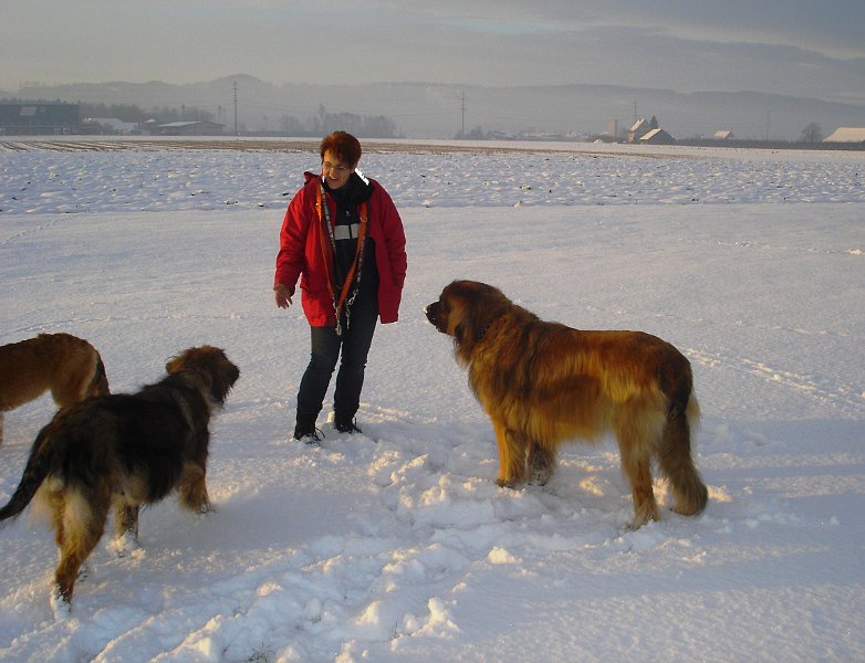 Hunde3371.JPG - Jeannine mit Eowyn und Cardhu im Dezember 2009