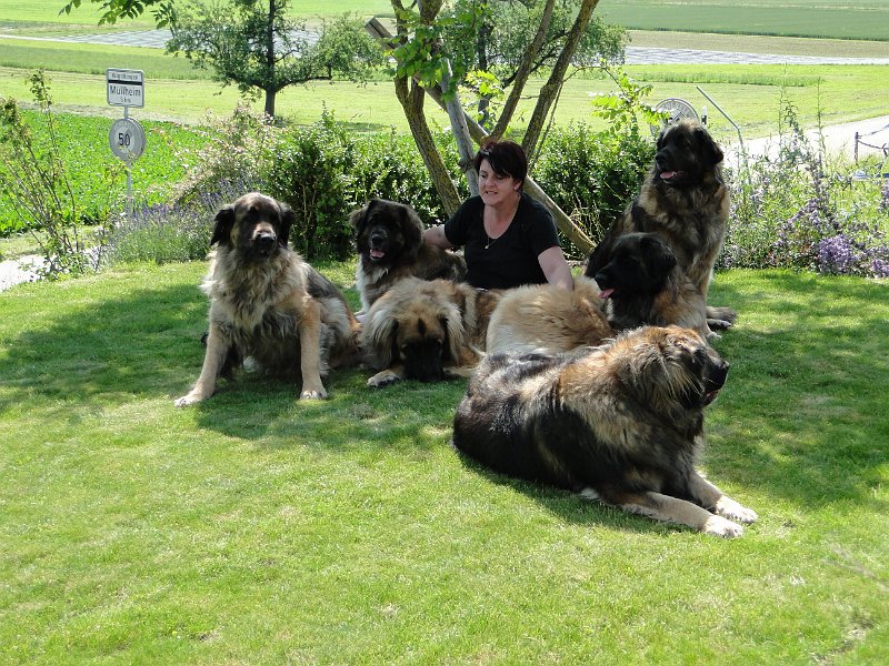 Hunde4174.JPG - ... um anschliessend mit Mama zu posieren!