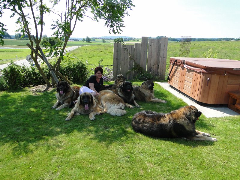 Hunde4178.JPG - Entspannung pur mit Mama