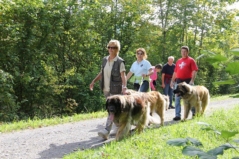 Hunde4231.JPG - Josette, Nicole, J.P. von der GRL
