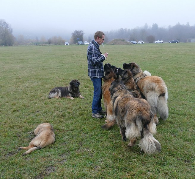 Hunde4270.JPG - Ob die wohl 'ne Zigarette von Peter wollen?