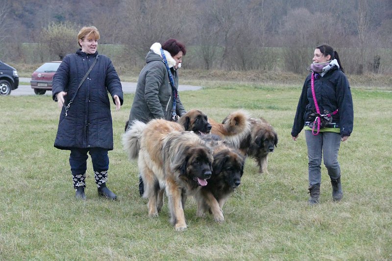 Hunde4311.JPG - Carmen erklärt Jeannine und Jasmin gerade, wie gross der Fisch war, den sie gefangen hat