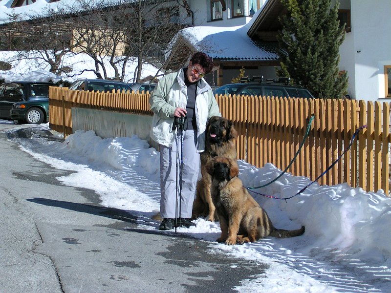 Hunde611.JPG - Jeannine mit Cardhu (ca. 2 Jahre alt) und Eowyn (ca. 15 Monate alt) im Urlaub in Oesterreich