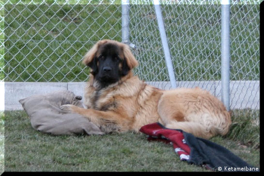 Infinity0018.JPG - Infinity
