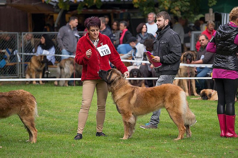 Ishani0134.jpg - Ishani in Leonberg September 2015