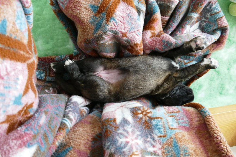 K_Wurf0402.JPG - K-Wurf Woche 3