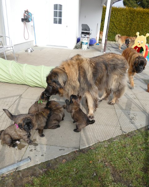 K_Wurf0496.JPG - K-Wurf Woche 4