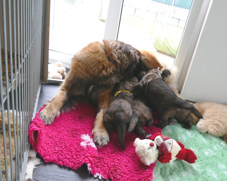 K_Wurf0534.JPG - K-Wurf Woche 4