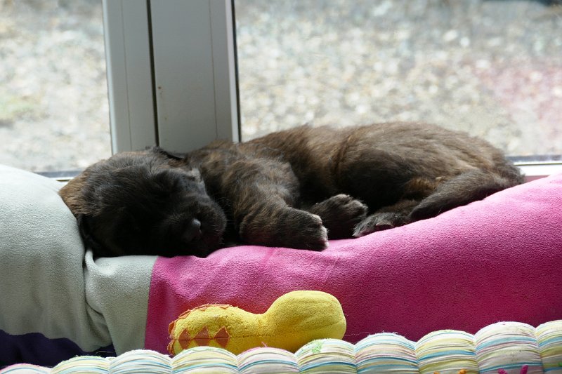 K_Wurf0544.JPG - K-Wurf Woche 4
