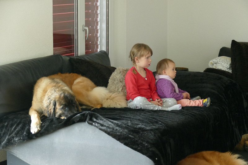P2150490.JPG