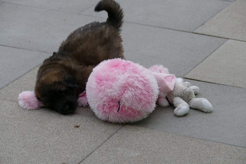 P2150524.JPG - L-Wurf Woche 5