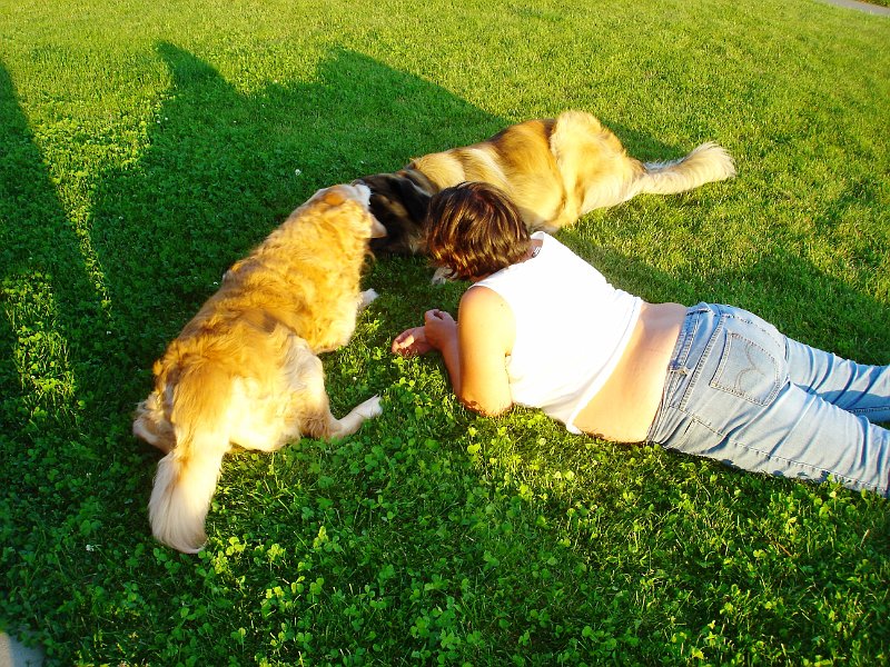 Laufey0045.JPG - beim Petting...