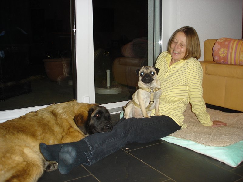 Laufey0071.JPG - Hier seht Ihr mich mit Tante Irene. Sie hat 4 M�pse (ich meine Hunde!) und 2 Mittelschnauzer. Wer ist der Chef? Nat�rlich die M�pse!