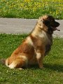 IMG_20220416_104446