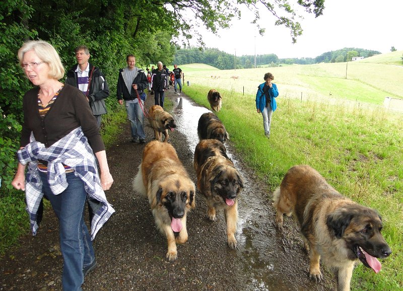 Treffen20120004.JPG - Treffen 2012