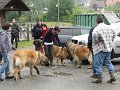Treffen20130122