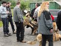 Treffen20130123