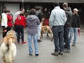 Treffen20130125