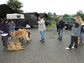 Treffen20130126