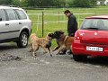 Treffen20130127