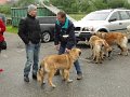 Treffen20130128