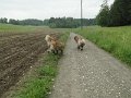 Treffen20130134