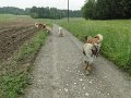 Treffen20130135