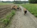 Treffen20130136