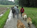 Treffen20130147