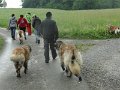 Treffen20130151