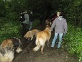 Treffen20130161