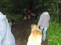 Treffen20130162