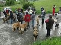 Treffen20130169