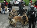 Treffen20130170