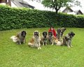 Treffen20130176