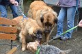 Treffen20130181