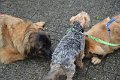 Treffen20130183
