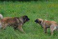Treffen20130194