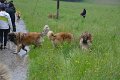 Treffen20130195